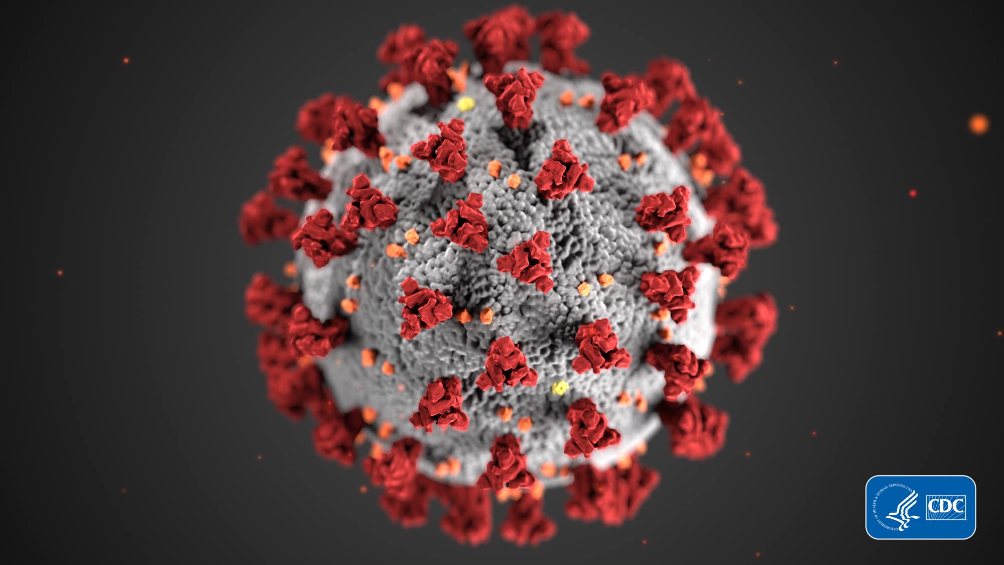 El Coronavirus desde un enfoque epidemiológico - coronavirus-Ponce Health  Sciences University